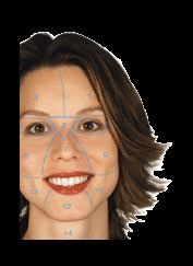 Methodische Hautanalyse mit Face-Mapping von Dermalogica